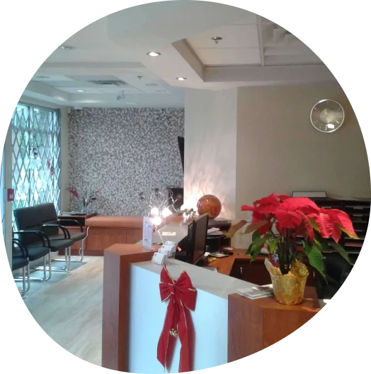 Halo Dental - Dentist in New Westminster BC